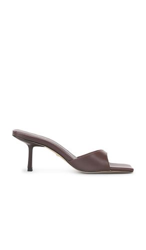 Jocey Mule in . - size 6 (also in 6.5) - RAYE - Modalova