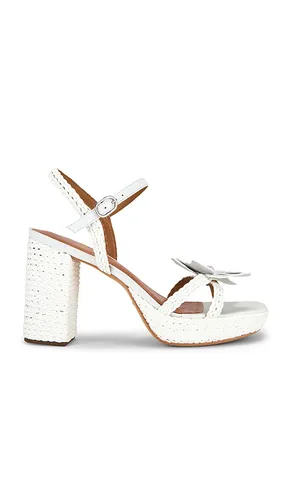 Solia Sandal in . - size 10 (also in 10.5, 5.5, 6.5, 7.5, 8, 8.5, 9, 9.5) - RAYE - Modalova