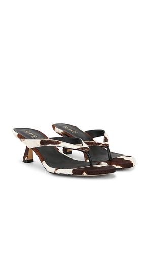 Kitty Sandal in Cream,Brown. - size 10 (also in 6, 7, 7.5, 8, 8.5, 9.5) - RAYE - Modalova