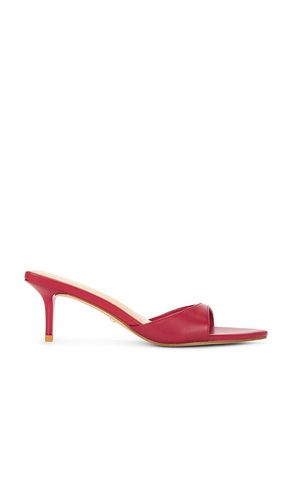 Chad Sandal in . - size 6 (also in 6.5, 7, 8.5) - RAYE - Modalova