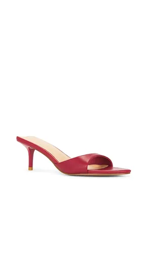 Chad Sandal in . - size 6 (also in 6.5, 7, 8, 8.5) - RAYE - Modalova