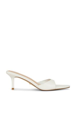 Chad Sandal in . Size 5.5. Also in 7, 7.5, 8, 9 - RAYE - Modalova
