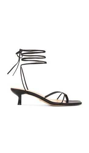 Jaden Sandal in . - size 10 (also in 5.5, 6, 6.5, 7, 7.5, 8, 8.5, 9) - RAYE - Modalova