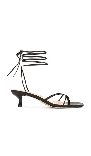 Jaden Sandal in . - size 5.5 (also in 6, 6.5, 7, 7.5, 8, 9.5) - RAYE - Modalova