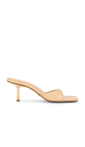 Jocey Mule in . - size 10 (also in 5.5, 6, 6.5, 7, 7.5, 8, 8.5, 9, 9.5) - RAYE - Modalova
