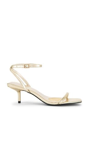 Misty Sandal in Metallic Gold. - size 5.5 (also in 6, 6.5, 7, 7.5, 8, 8.5, 9) - RAYE - Modalova