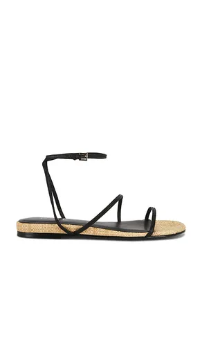 Sabine Sandal in . Size 5.5. Also in 6, 6.5, 7, 7.5, 8, 8.5, 10 - RAYE - Modalova