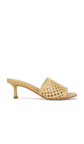 Samira Sandal in . Size 5.5. Also in 6, 7, 7.5, 9, 9.5 - RAYE - Modalova