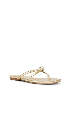 Aarav Sandal in . Size 6.5. Also in 7 - RAYE - Modalova