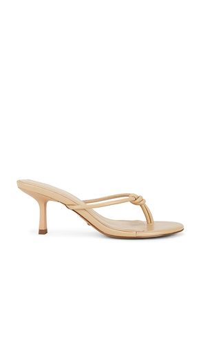 Vianka Heel in . - size 6 (also in 8) - RAYE - Modalova