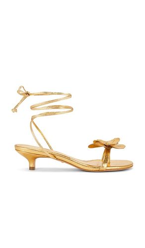 Catalina Sandal in . Size 6. Also in 7, 8 - RAYE - Modalova
