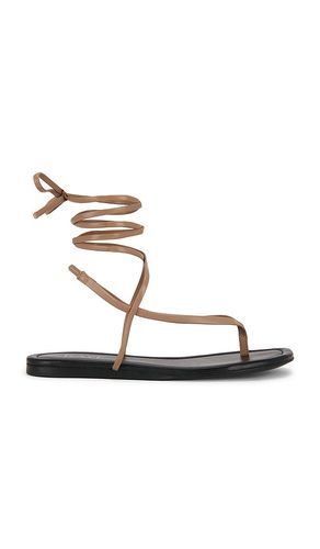 Aditi Sandal in . Size 6. Also in 6.5, 9, 9.5, 10 - RAYE - Modalova