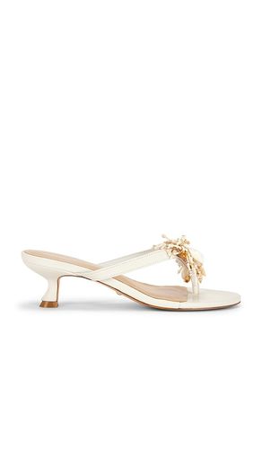Iman Sandal in . Size 6. Also in 9 - RAYE - Modalova