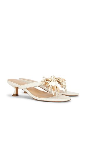 Iman Sandal in . Size 6. Also in 9 - RAYE - Modalova
