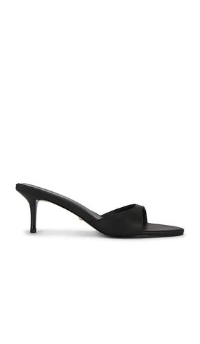 Chad Sandal in . - size 6.5 (also in 7, 8.5) - RAYE - Modalova