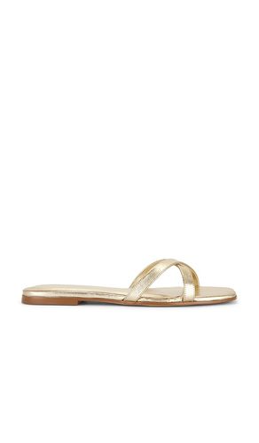 Yasminah Sandal in . Size 5.5. Also in 7, 7.5, 8, 9 - RAYE - Modalova