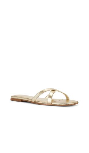 Yasminah Sandal in . Size 5.5. Also in 7, 7.5, 8, 9 - RAYE - Modalova