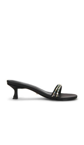 Danae Sandal in . - size 5.5 (also in 6, 6.5, 7, 7.5, 8, 8.5, 9, 9.5) - RAYE - Modalova