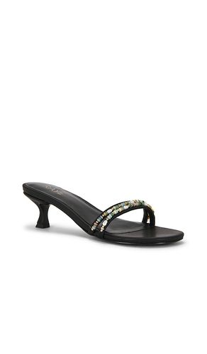 Danae Sandal in . - size 5.5 (also in 6, 6.5, 7, 8, 8.5, 9, 9.5) - RAYE - Modalova
