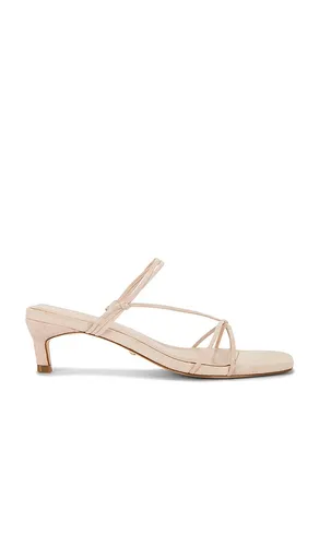 Amari Sandal in Blush. - size 10 (also in 5.5, 6, 7, 7.5, 8, 9, 9.5) - RAYE - Modalova