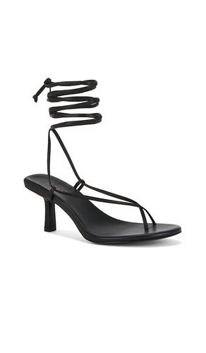 Paola Sandal in . Size 5.5. Also in 6.5 - RAYE - Modalova