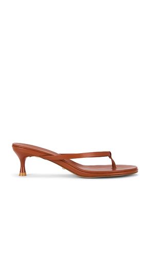 Kimme Sandal in . Size 7. Also in 6 - RAYE - Modalova
