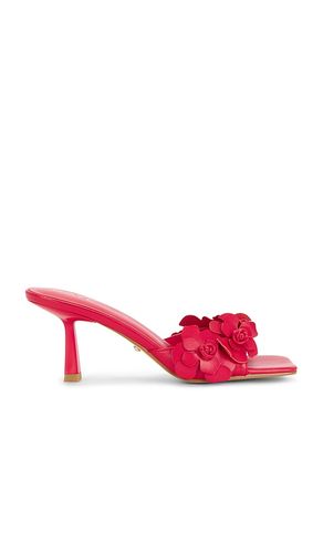 Hana Sandal in . Taglia 5.5. Also in 8 - RAYE - Modalova