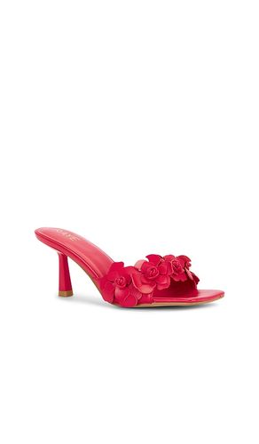 Hana Sandal in . Size 5.5. Also in 8 - RAYE - Modalova