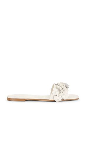 Iris Flat in . Size 6. Also in 7, 7.5 - RAYE - Modalova
