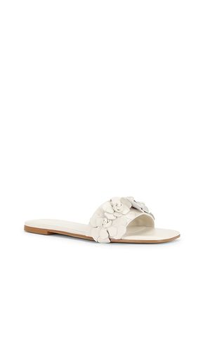 Iris Flat in . Taglia 7. Also in 8.5 - RAYE - Modalova