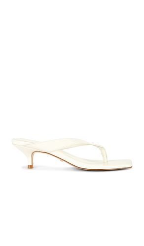 Perla Kitten Heel in . Size 5.5. Also in 6, 7.5 - RAYE - Modalova