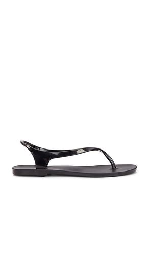 Ala Flip Flop in . Size 6. Also in 7, 8, 9, 10 - RAYE - Modalova