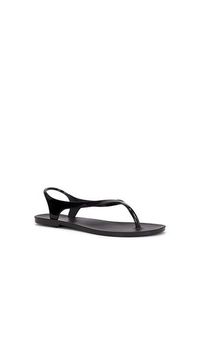 FLIP FLOPS ALA in . Größe 6. Also in 7, 8, 9, 10 - RAYE - Modalova