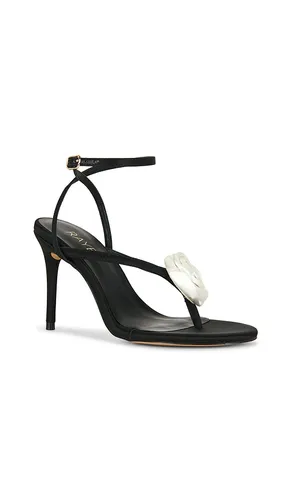 Peony Sandal in . Size 5.5. Also in 8.5, 9.5 - RAYE - Modalova