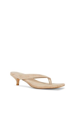 Perla Kitten Heel in . Size 6. Also in 7.5, 8, 8.5, 9 - RAYE - Modalova