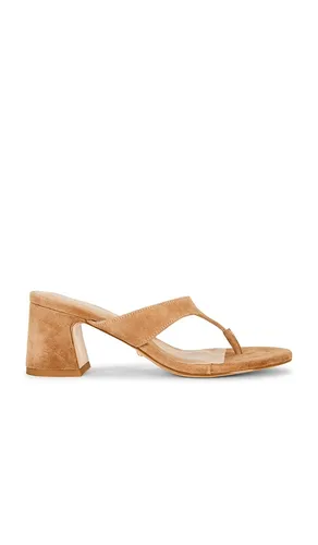 SANDALE ZADIE in . Größe 10. Also in 5.5, 6, 6.5, 7, 7.5, 8, 8.5, 9 - RAYE - Modalova