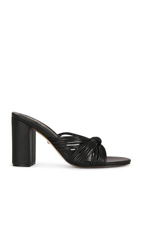 Amalia Sandal in . - size 10 (also in 5.5, 6, 7, 7.5, 8, 8.5, 9) - RAYE - Modalova