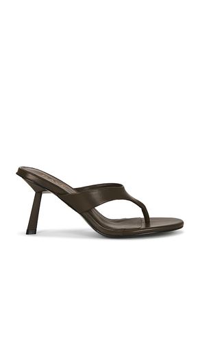 Zaho Sandal in . Size 10. Also in 6, 6.5, 7, 7.5, 8, 8.5, 9 - RAYE - Modalova