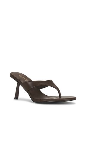Zaho Sandal in . Taglia 10. Also in 6, 6.5, 7, 7.5, 8, 8.5, 9 - RAYE - Modalova