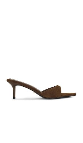 SANDALE CHAD in . Größe 10. Also in 5.5, 6, 6.5, 7, 7.5, 8, 8.5, 9 - RAYE - Modalova
