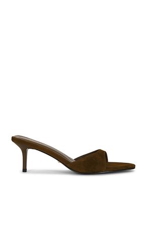 SANDALE CHAD in . Größe 6. Also in 6.5, 7, 7.5, 8, 8.5, 9, 9.5, 10 - RAYE - Modalova