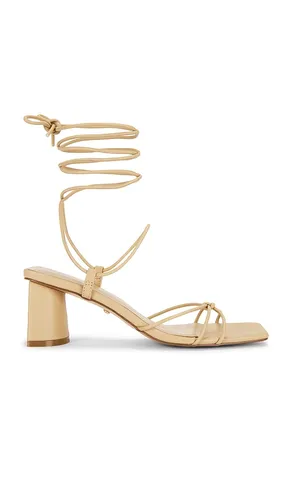 Sergei Sandal in . Size 10. Also in 6, 8, 9 - RAYE - Modalova