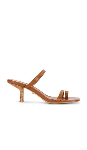 Liani Sandal in . Size 10. Also in 5.5, 6.5, 7, 7.5, 8, 8.5, 9, 9.5 - RAYE - Modalova
