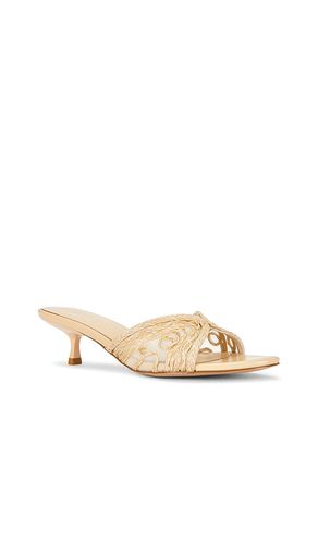 Aylin Sandal in . Size 5.5. Also in 6.5, 7, 8.5, 9, 9.5 - RAYE - Modalova
