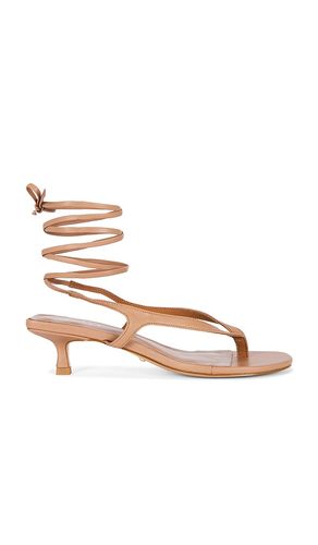 Nourin Sandal in Nude. - size 5.5 (also in 6, 6.5, 7, 7.5, 8, 8.5) - RAYE - Modalova