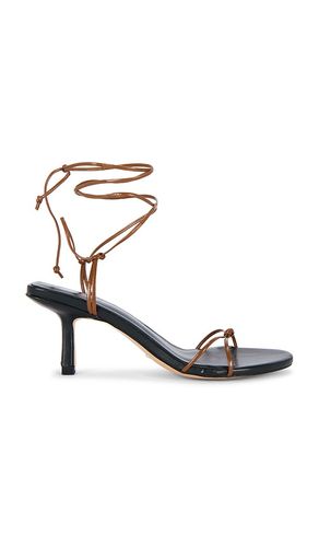 Briela Sandal in . Size 6.5. Also in 7, 7.5, 8, 8.5 - RAYE - Modalova