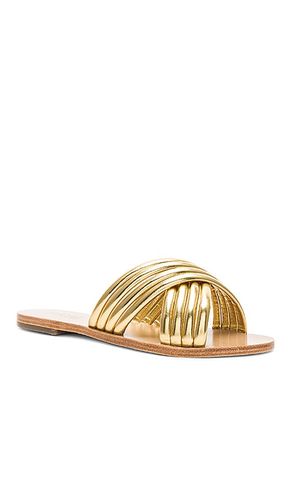 Ziggy Sandal in . Size 5.5. Also in 6.5, 7, 9.5 - RAYE - Modalova