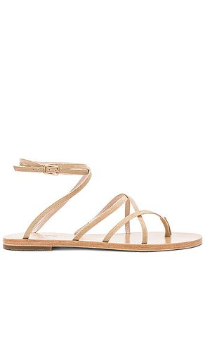 Coy Sandal in . - size 5.5 (also in 10, 6, 7.5, 8.5) - RAYE - Modalova