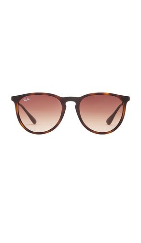 Erika classic sunglasses in color brown size all - Ray-Ban - Modalova