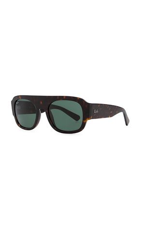 Ray-Ban Sunglasses in Brown - Ray-Ban - Modalova